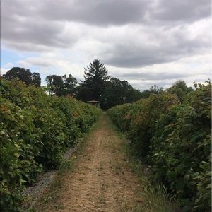 Meet your Posher, Aaron